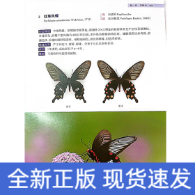 浙江烏巖嶺國家級自然保護區(qū)蝴蝶圖鑒