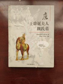 唐王雄诞夫人魏氏墓 考古发掘报告
