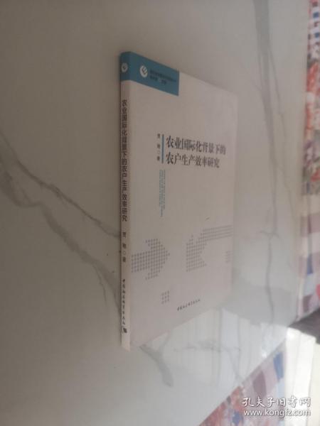 现代经济理论与实践丛书：农业国际化背景下的农户生产效率研究