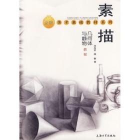素描幾何體與靜物教程 美術(shù)技法 劉兆君 新華正版