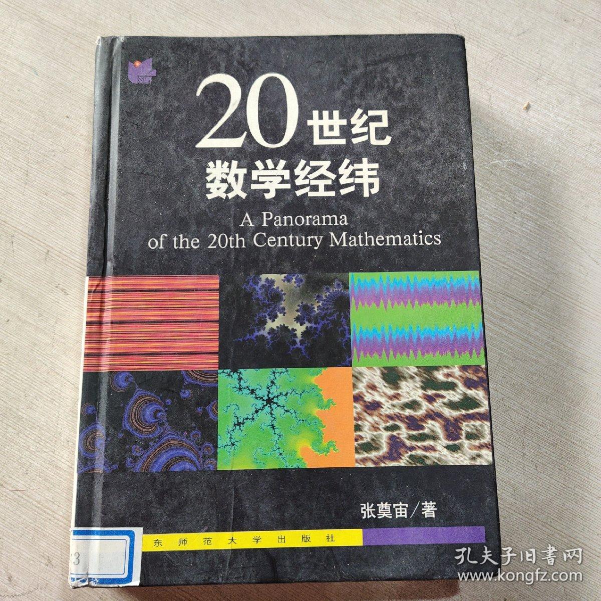 20世纪数学经纬