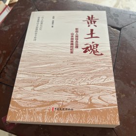 黄土魂:职田人民综合治理山水田林路村纪实