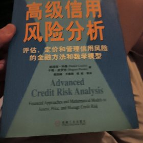 高级信用风险分析：评估、定价和管理信用风险的金融方法和数学模型