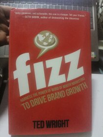 FIZZ: HARNESS THE POWER OF WORD OF MOUTH MARKETING TO DRIVE BRAND GROWTH 【口碑营销】 英文原版 精装16开