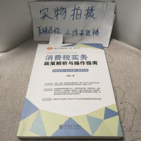 消费税实务政策解析与操作指南