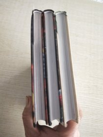 我的魔法人生（全3册）