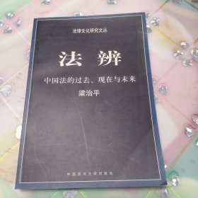 法辨：中国法的过去、现在与未来