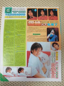 谢霆锋16开彩页一张 反面张学友