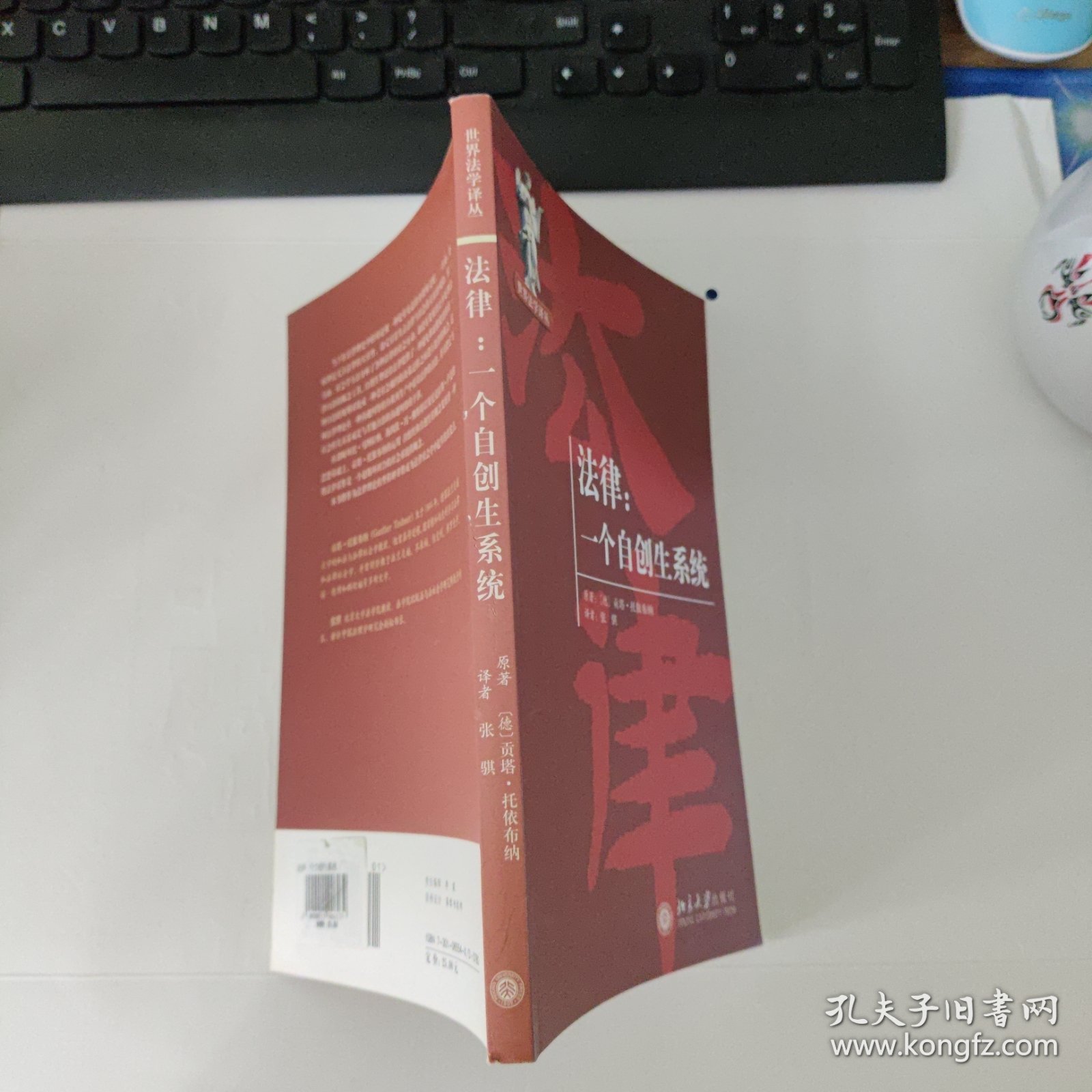 法律：一个自创生系统