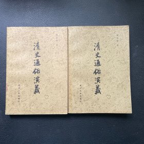 清史通俗演义（上下）