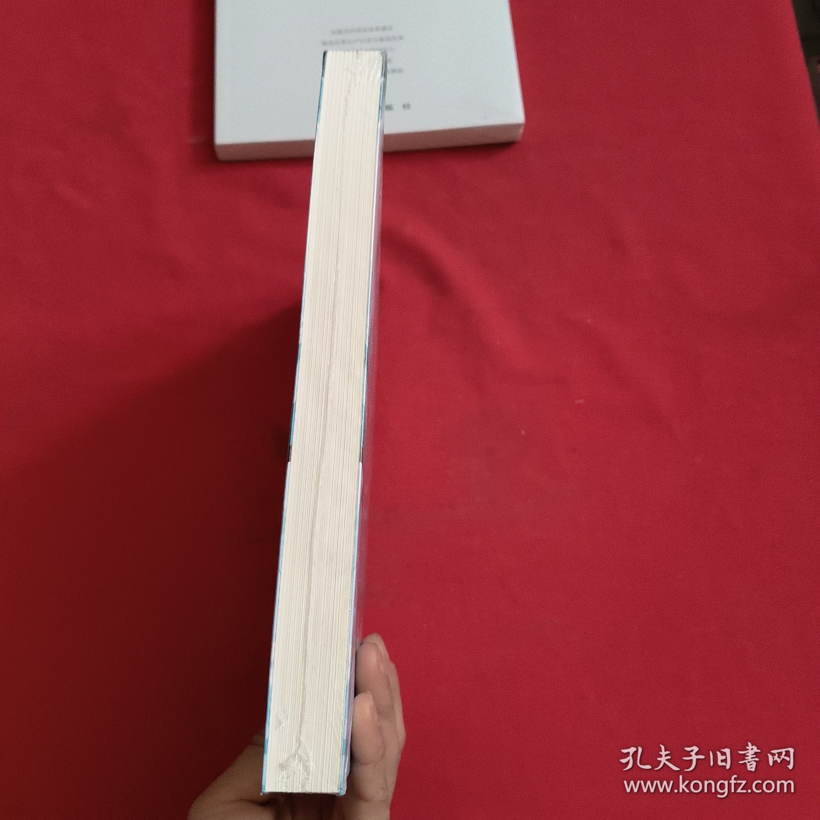 房地产项目运营最佳实践（第二版）全新没开封