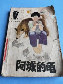 阿诚的龟