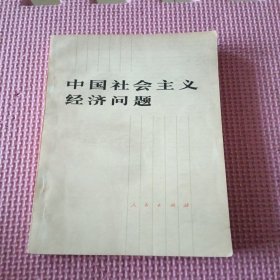 中国社会主义经济问题