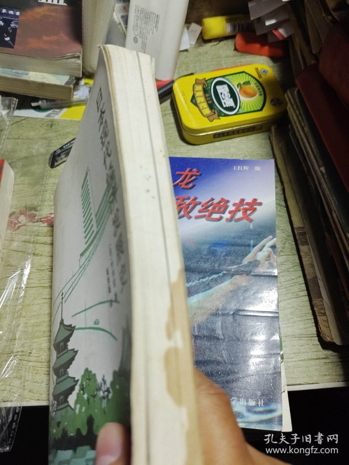 日本现代经济发展史 1993年一版一印