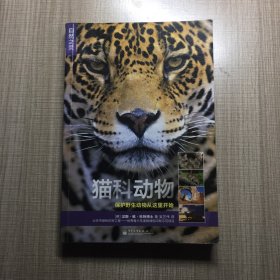 自然之灵 猫科动物（全彩）