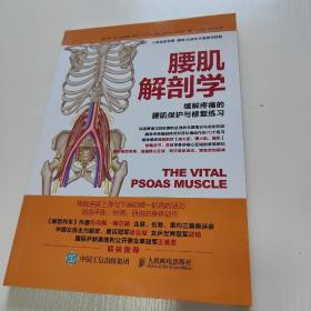 腰肌解剖学 缓解疼痛的腰肌保护与修复练习