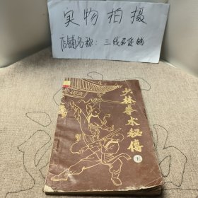 少林拳术秘传 五