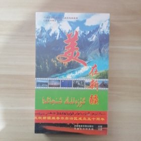 美在新疆VCD 【庆祝新疆维吾尔自治区成立五十周年】VCD 【未开封】