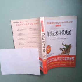 正版书 钢铁是怎样炼成的