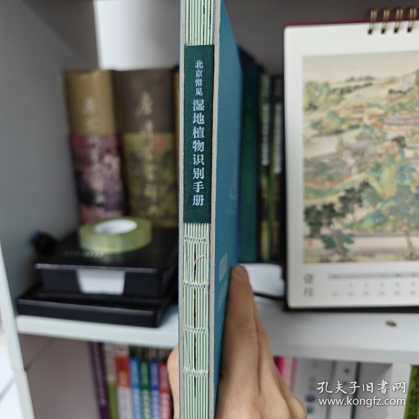 北京常见湿地植物识别手册
