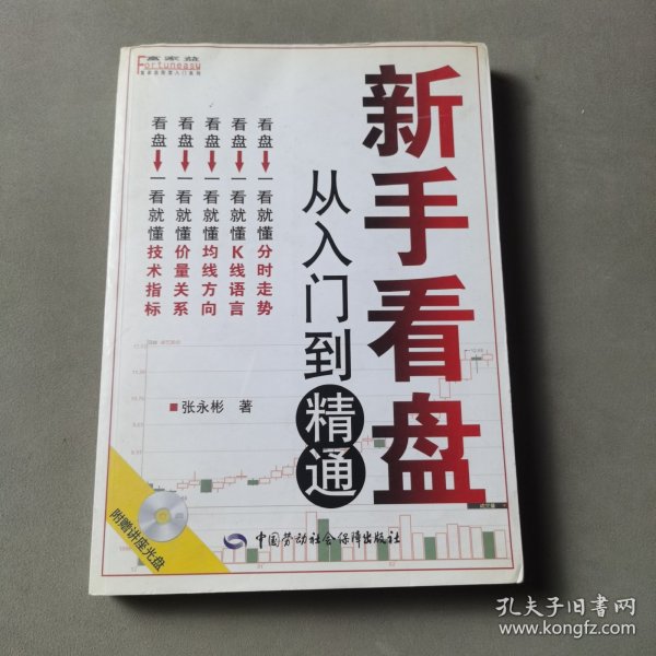 新手看盘：从入门到精通