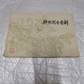 牡丹写生资料 无字迹