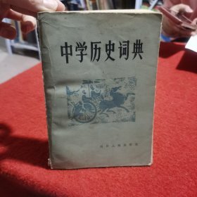 中学历史词典