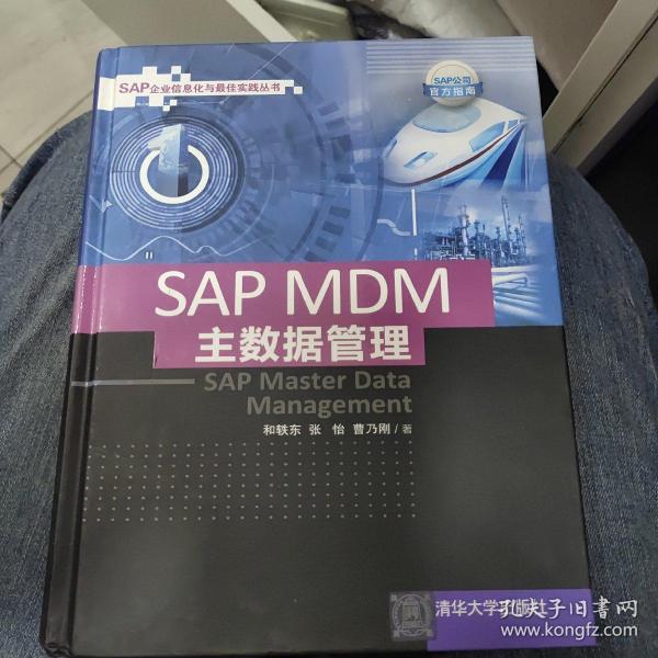 SAP MDM 主数据管理