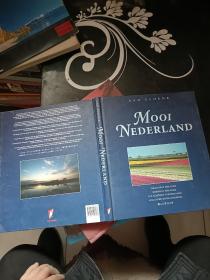 AAD  SCHENK  MOOI    NEDERLAND