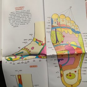 手到病自除 国医健康绝学系列