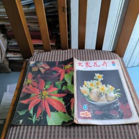 大众花卉1984年6期