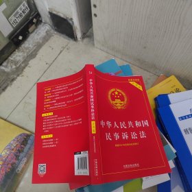 中华人民共和国民事诉讼法（实用版）（2022年版）