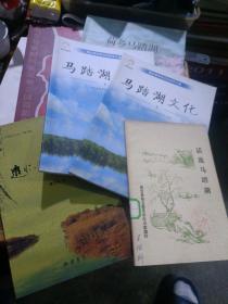 桓台县文史资料、党史资料之十一——马踏湖系列资料1.北国水乡 齐风古韵（山东马踏湖国家湿地公园摄影作品集）。2.追忆漫说马踏湖。3.桓台县传统文化研学之旅-马踏湖文化<上下>。5.荷乡马踏湖。6.话说马踏湖<六本合售>