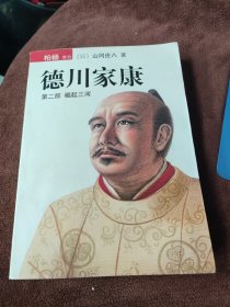 德川家康（第二部）：崛起三河