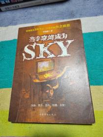 当李晓峰成为SKY