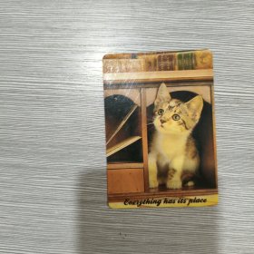 【年历卡】1997年 猫 1枚 雅典美术印制公司