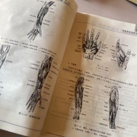 国家职业资格培训教程：保健按摩师（基础知识）