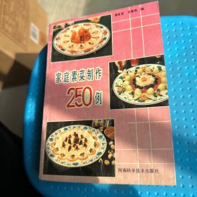 家庭素材制作250例