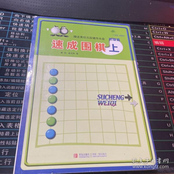 初级篇-速成围棋(上)