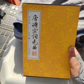 唐诗宋词元曲（第八卷）