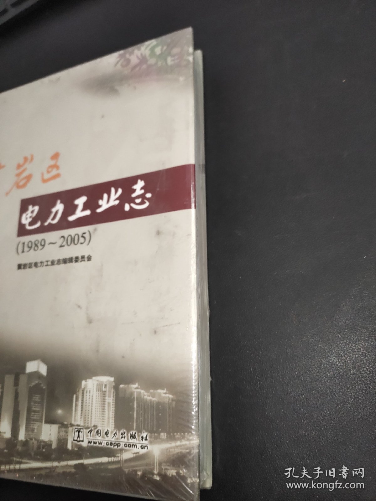 黄岩区电力工业志:1989～2005