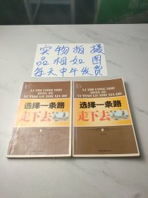 选择一条路走下去(上下)