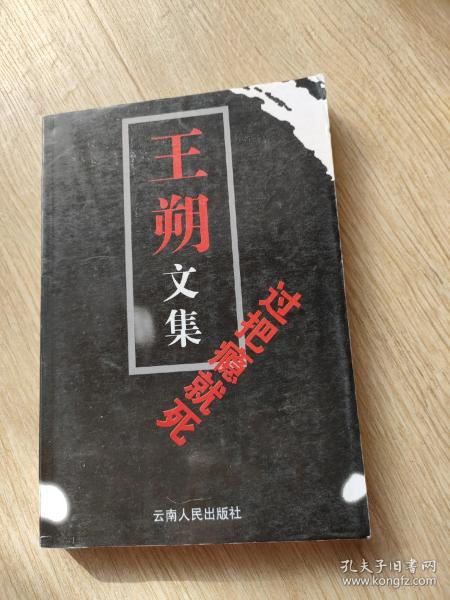 王朔散文集过把瘾就死