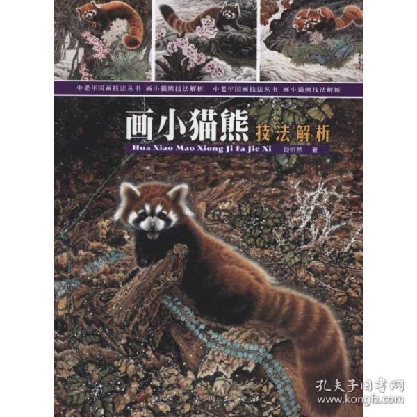 画小猫熊技法解析