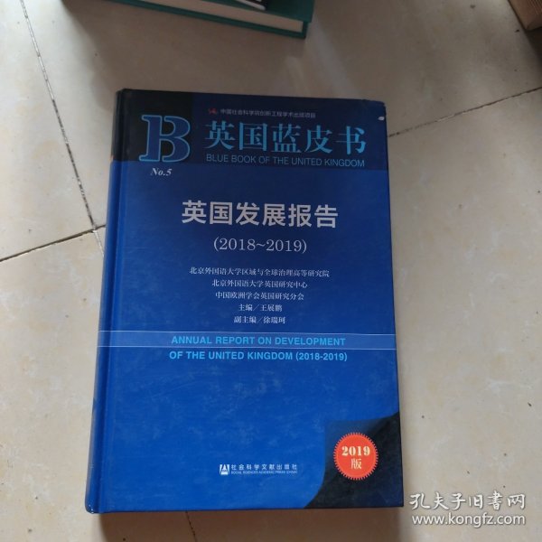 英国发展报告