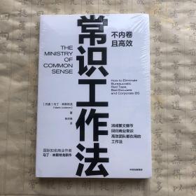 常识工作法:不内卷且高效 马丁·林斯特龙 著 痛点 品牌洗脑 作者新作
