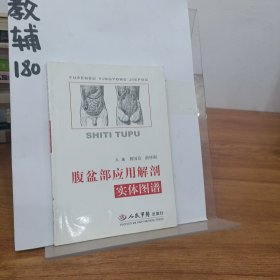 腹盆部应用解剖实体图谱