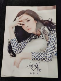 杨幂高清大海报贴纸挂画70