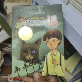一只眼睛的猫：国际大奖小说 19-1架