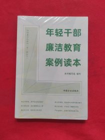 年轻干部廉洁教育案例读本 全新未拆封